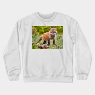 Red Fox Kit in Forest Crewneck Sweatshirt